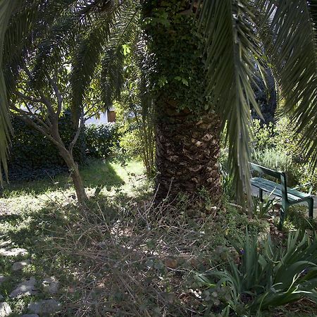 Villa Bunta Sutivan Dış mekan fotoğraf